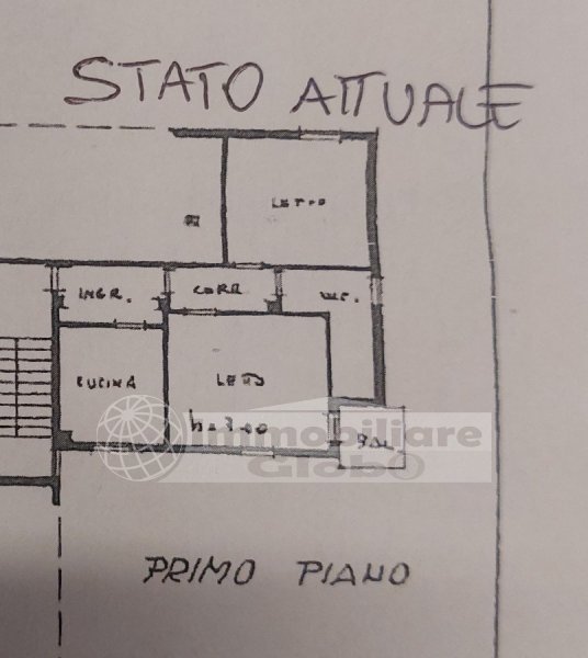 Immagine 14
