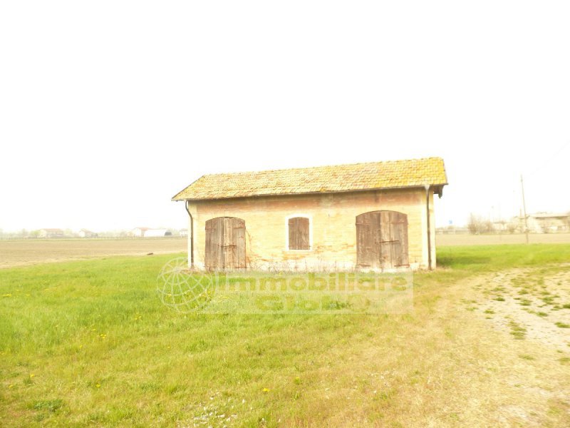 Immagine 2
