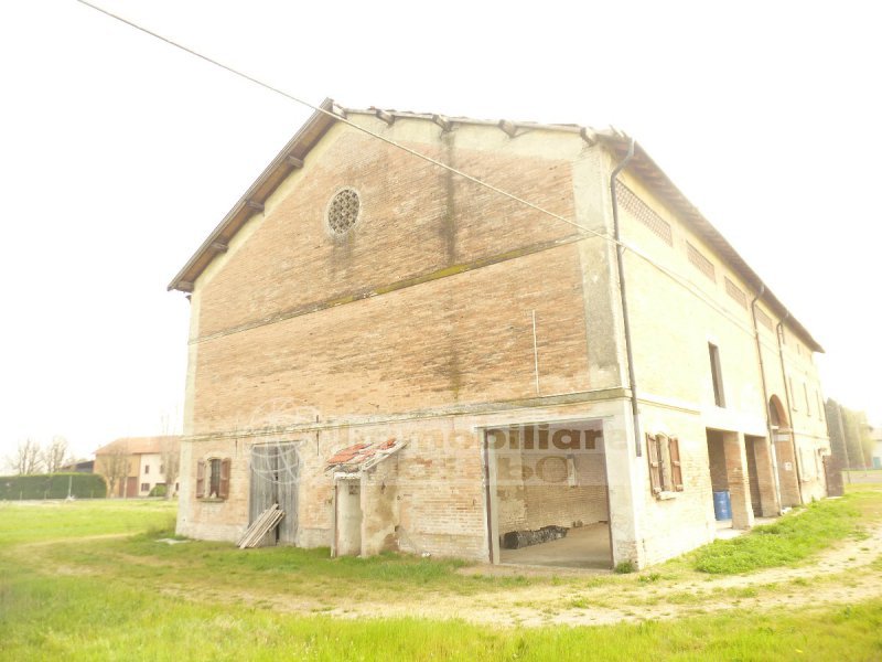 Immagine 3