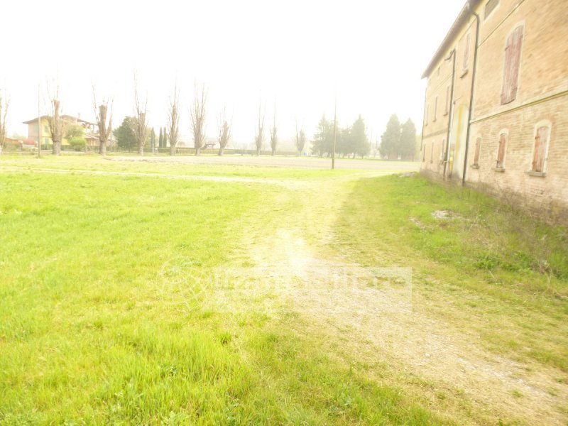 Immagine 4
