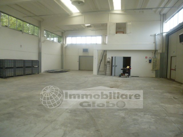 Immagine 3