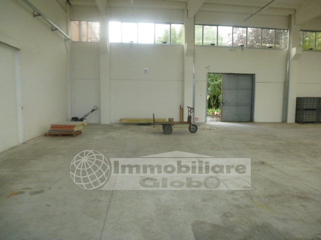 Immagine 6