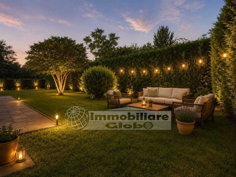 Immagine 14