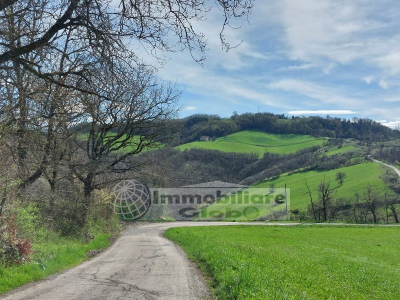Immagine 35